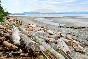 beach view