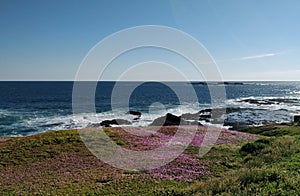 Beach view, GOR, Australia