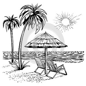 Beach view with palm, lounger and parasol, vector sketch illustration.