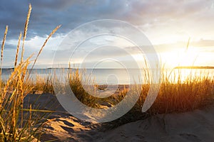 Beach view from the path sand between the dunes. Stunning inspirational sunset image