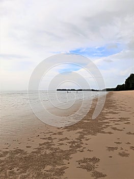 Beach view with sand pattern made by crab