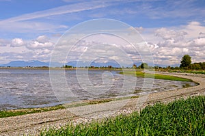 Beach view in springtime