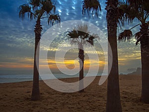 Beach at Vina del Mar