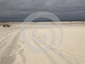 Beach on Vlieland photo