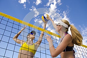 Beach Volleyball photo