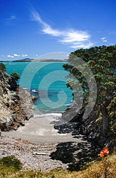 Beach on Waiheke Island
