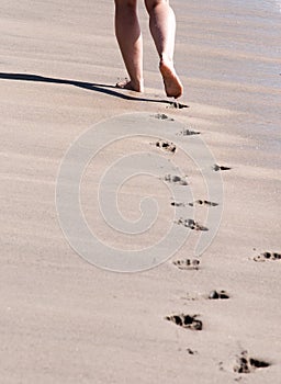 Beach walk