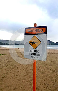 Beach warning of shark sightings