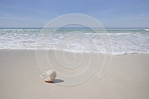 Beach  and water on the background