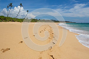 Beach, wave and footsteps. Tropical island. photo