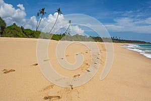 Beach, wave and footsteps. Tropical island. photo