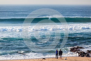 Beach Wave Surfer Spectators Dogs Surfing