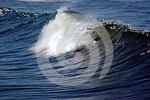 Beach Waves