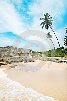 Beach with waves against rock and palm trees in sunny day