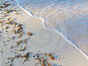 beach waves on white sand and sea plants that are dragged to the shoreline