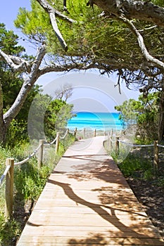 Beach way to Illetas paradise beach Formentera