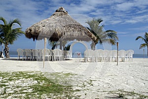 Beach Wedding