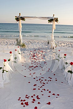 Beach Wedding Path Rose Petals