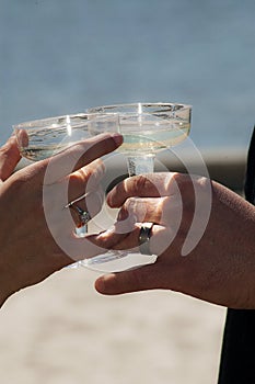 Beach wedding toast