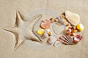 Beach white sand heart shape starfish print summer