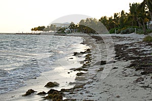 Beach with white sand in Islamorada, Florida