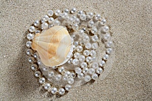 Beach white sand pearl shell macro