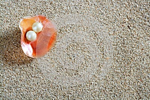 Beach white sand pearl shell macro