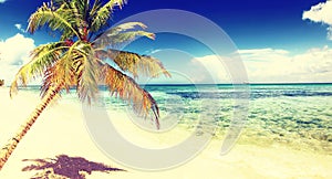 Beach with white sand, sun and quiet ocean. Tropical banner