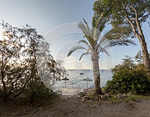 Beach with white sand and turquoise water of the Mediterranean sea in Alcudia, Mallorca, or Majorca, Balearic Islands, Spain