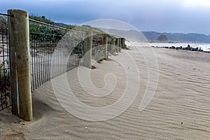 Beach in winter