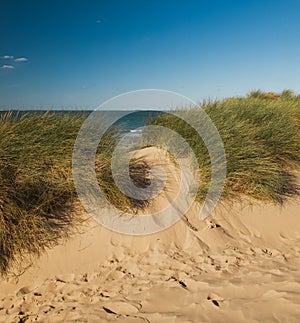 Beach of Wissant on the Opal coast photo