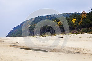 Beach in Wolin National Park photo