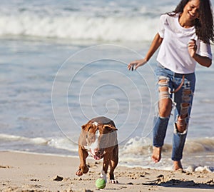 Beach, woman and dog running with ball for fun exercise, healthy energy or happy animal in nature. Ocean, games and