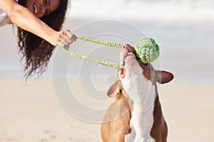 Beach, woman and dog with toy for game, fun exercise and healthy energy for happy animal in nature. Ocean, bite and
