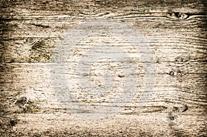 Beach wood textured background panel horizontal neat and light color bleached brown