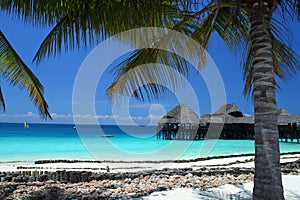 Beach in Zanzibar photo