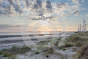 Beach, Zeeland photo