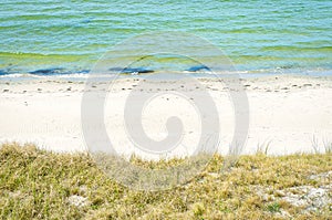 On the beach at Zingst. Dunes with dune grass in front of white sand and Baltic Sea