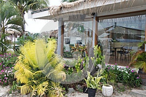 Beachcomber island lounge area with tropical vegetation