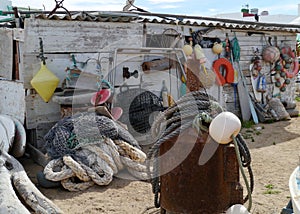 Beachcomber in the Jandia nature park