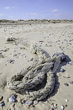 Beachcombing find of rope on the beach