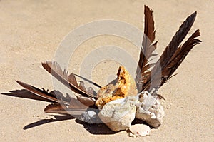 Beachcombing treasure