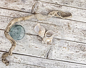 Beachcombing treasures