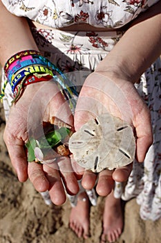Beachcombing Treasures - Sand Dollar, Shells & Beach Glass