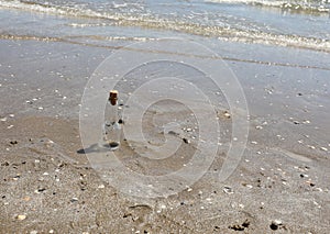 beached glass bottle with cork carried by the sea waves