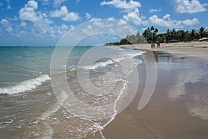 Beaches of Brazil - Maragogi beach, Alagoas state