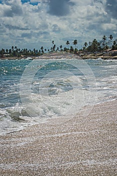 Beaches of Brazil - Serrambi, Pernambuco