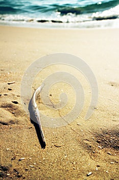 beaches on coast of Arabian sea