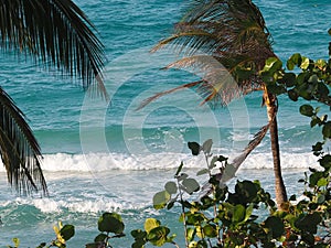 Beaches Of Cuba