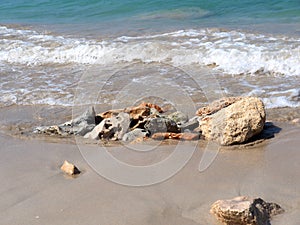 Beaches Of Cuba